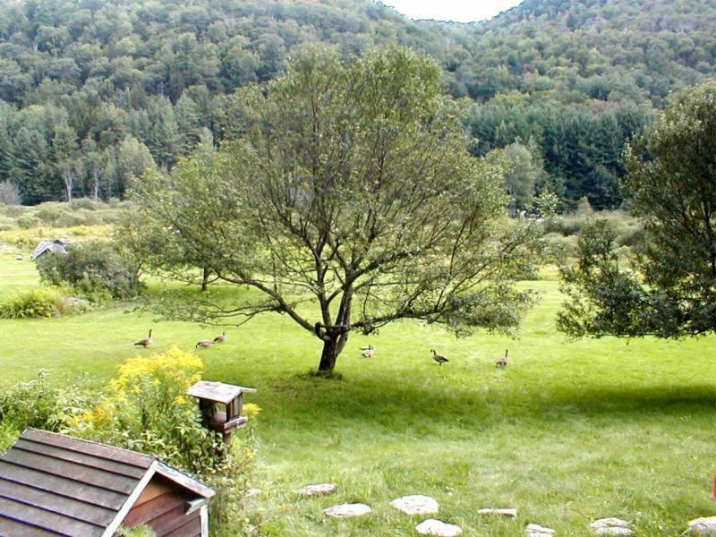 Mountain Valley Retreat Килингтън Екстериор снимка