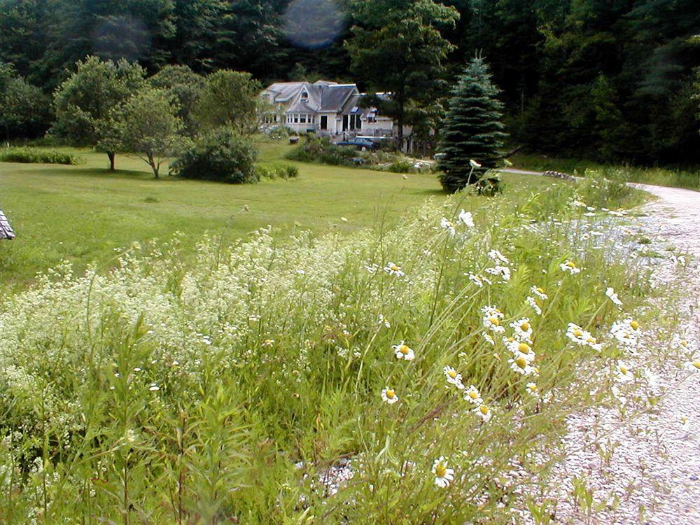 Mountain Valley Retreat Килингтън Екстериор снимка