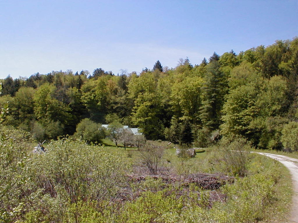 Mountain Valley Retreat Килингтън Екстериор снимка